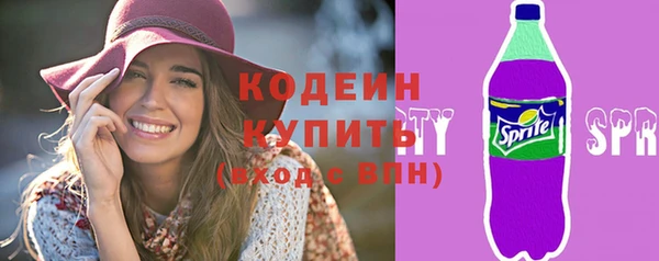 индика Бородино