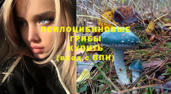 таблы Богданович