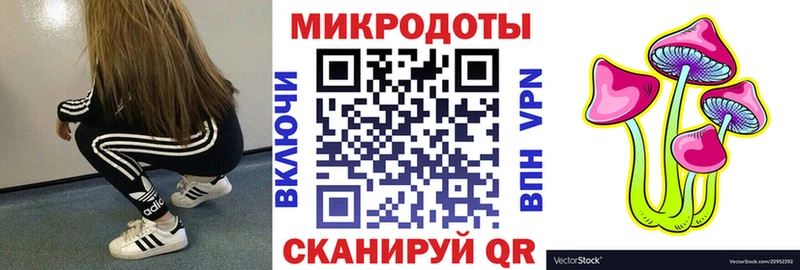 Галлюциногенные грибы Psilocybe  Данилов 